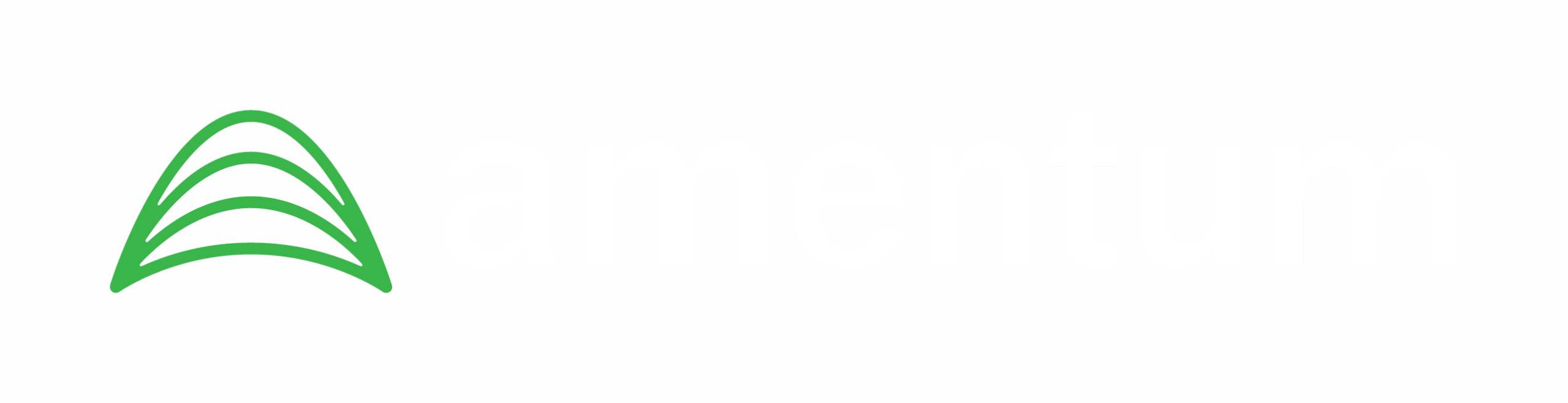 Amentum reference